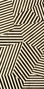 ZEBRA6 12LP.jpg